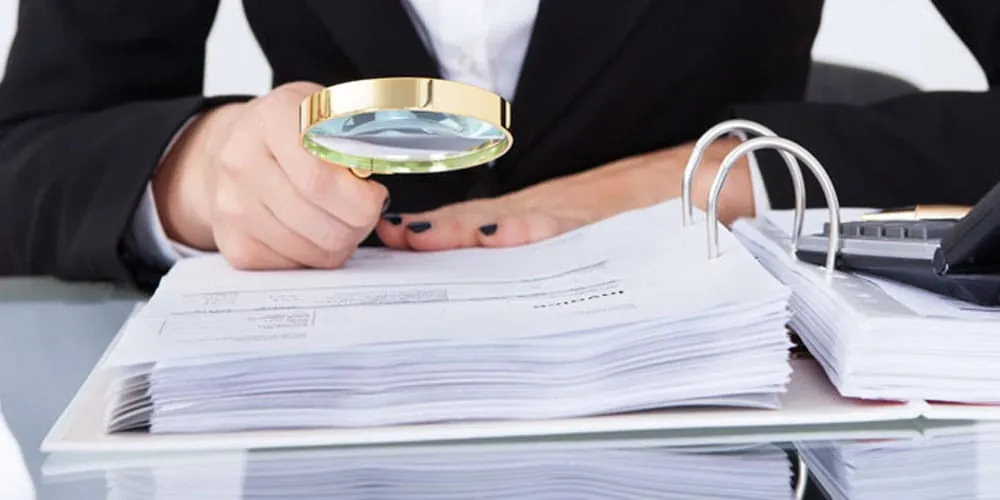 Curs Prevenirea, identificarea și investigarea fraudelor
